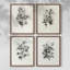 «Vintage Floral Print», impression encadrée, ensemble de 4-1451409952-1451409955