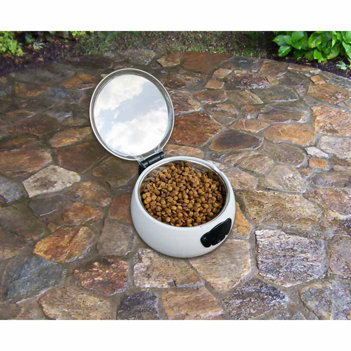 Automatic Feeder