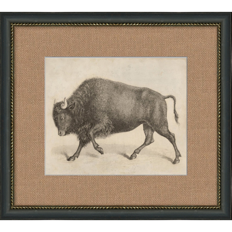 Antique Gold and Black Framed Bull Print on Paper