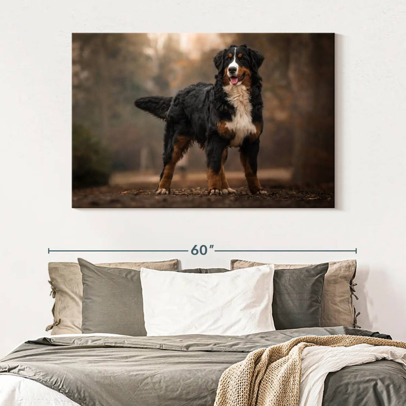 Brampt Bernese Mountain Dog, 34" H x 51" W