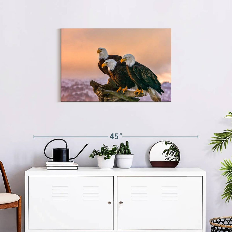 Brampt Three American Bald Eagles, 20" H x 30" W