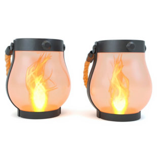 Renard flamme