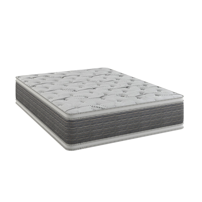 Matelas à plateau-coussin 14,5 po Dream Flex, Simple