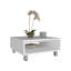 Table basse carrée minimaliste 10 po H avec rangement ouvert blanc-585204792