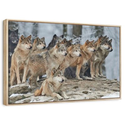 Wild Wolf Pack