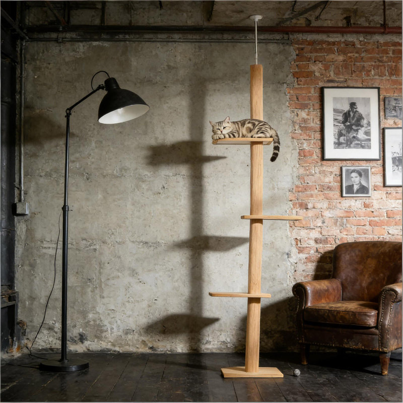 Arbre à chat, centre d'activités pour arbre à chat