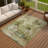 Machine Washable Indoor/Outdoor Efimenko ACN2300 Abstract Rug-1929538375