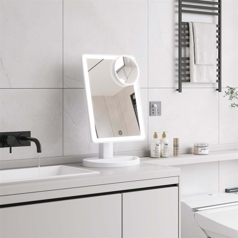 Demetrias Plastic Rectangle Freestanding Vanity Mirror