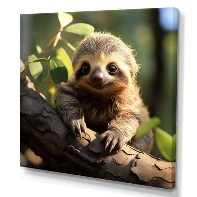Baby Sloth Photo - Sloth Wall Art