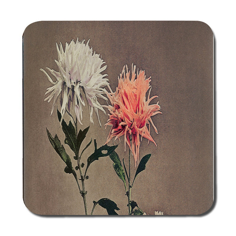 Butterfly Placemats And Coaster Set With Colorful Wings Design