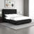 Goy Bed, Low Profile, Button Tufted,  Velvet Upholstery-114018897-114018894