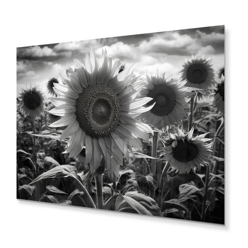 Noir et blanc tournesol classé I - art mural floral en métal, H 16 po x l 32 po x P 1 po