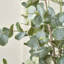 130cm Faux Eucalyptus Tree in Fibrestone Pot-1203865728