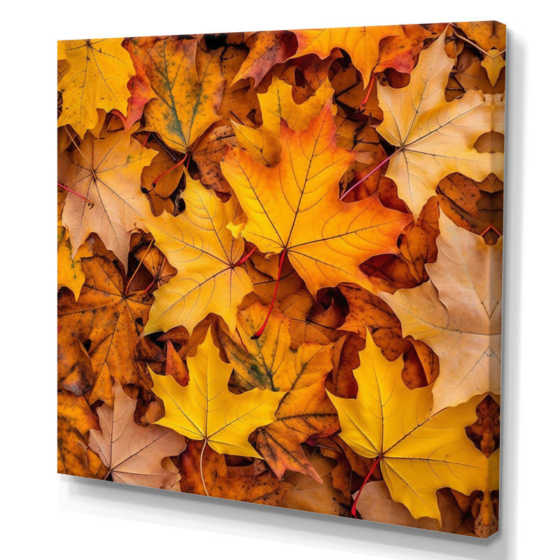«Canadian Mapple Tree Leaves I», reproduction sur toile canadienne, H 24 po x l 24 po x P 1 po, Toile tendue