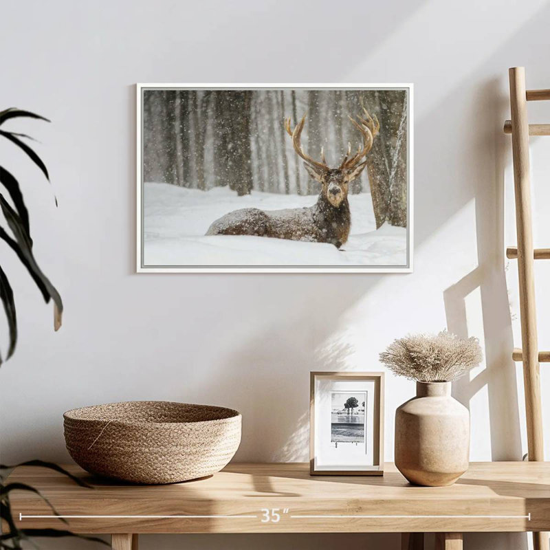 Wapiti recouvert de neige, Cadre flottant blanc, 19 po x 13 po