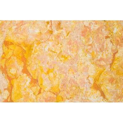 Giallo Reale 12" x 12" Marble Field Tile