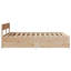 Storage Bed-1886875273-1886875277