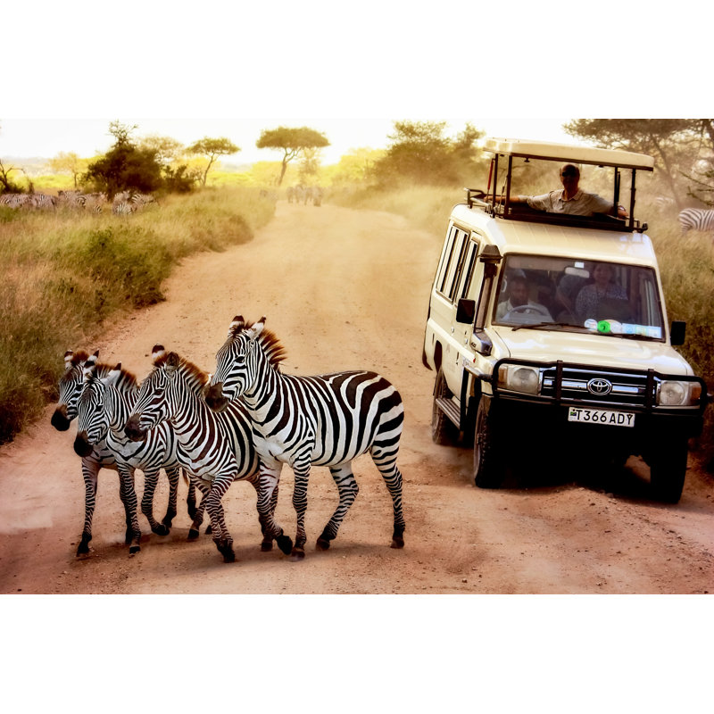 Zebras On Road by Delbars - Wrapped Canvas Print, 30cm H x 46cm W