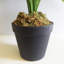 152.4cm Faux Plant in Pot Liner