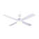 Witherington 48'' Ceiling Fan with LED Lights