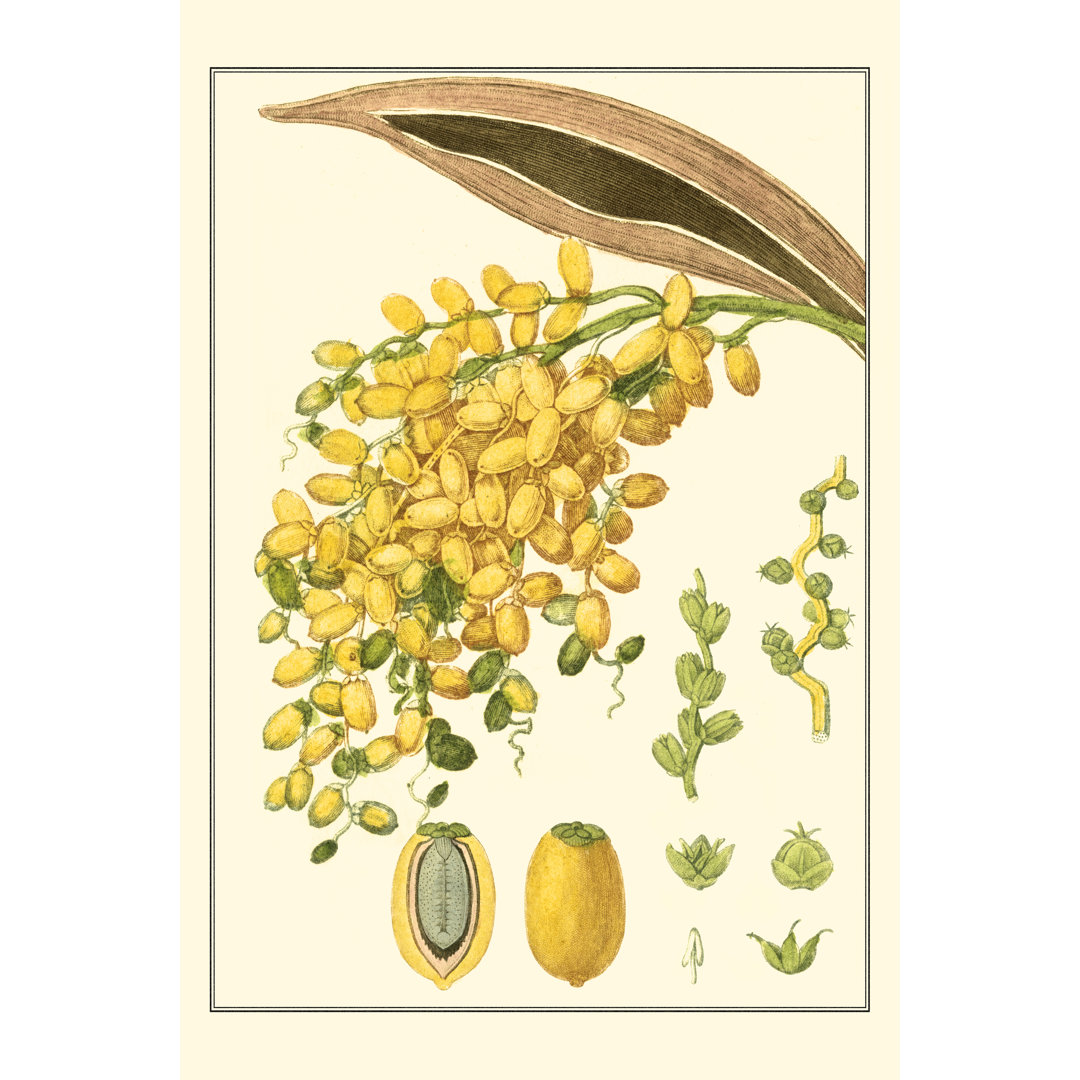 Turpin Tropicals VIII by Turpin - Wrapped Canvas Painting