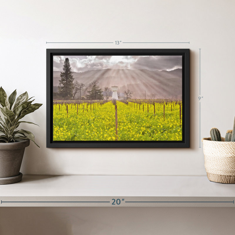 Nature «Art mural de Napa Valley Vineyard», H 9 po x l 13 po