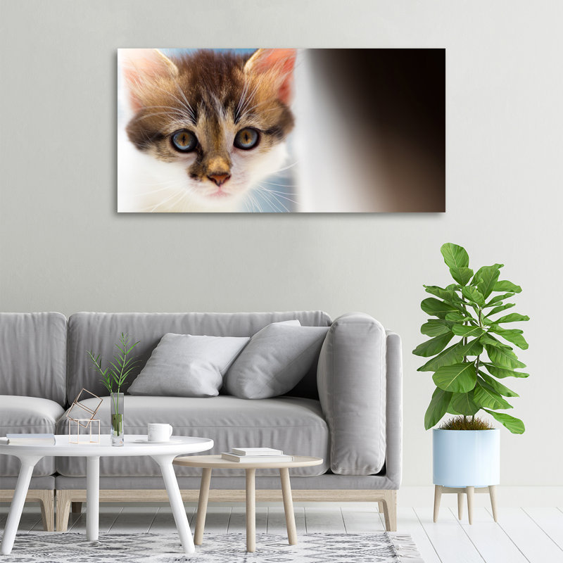Small Cat - No Frame Print on Canvas