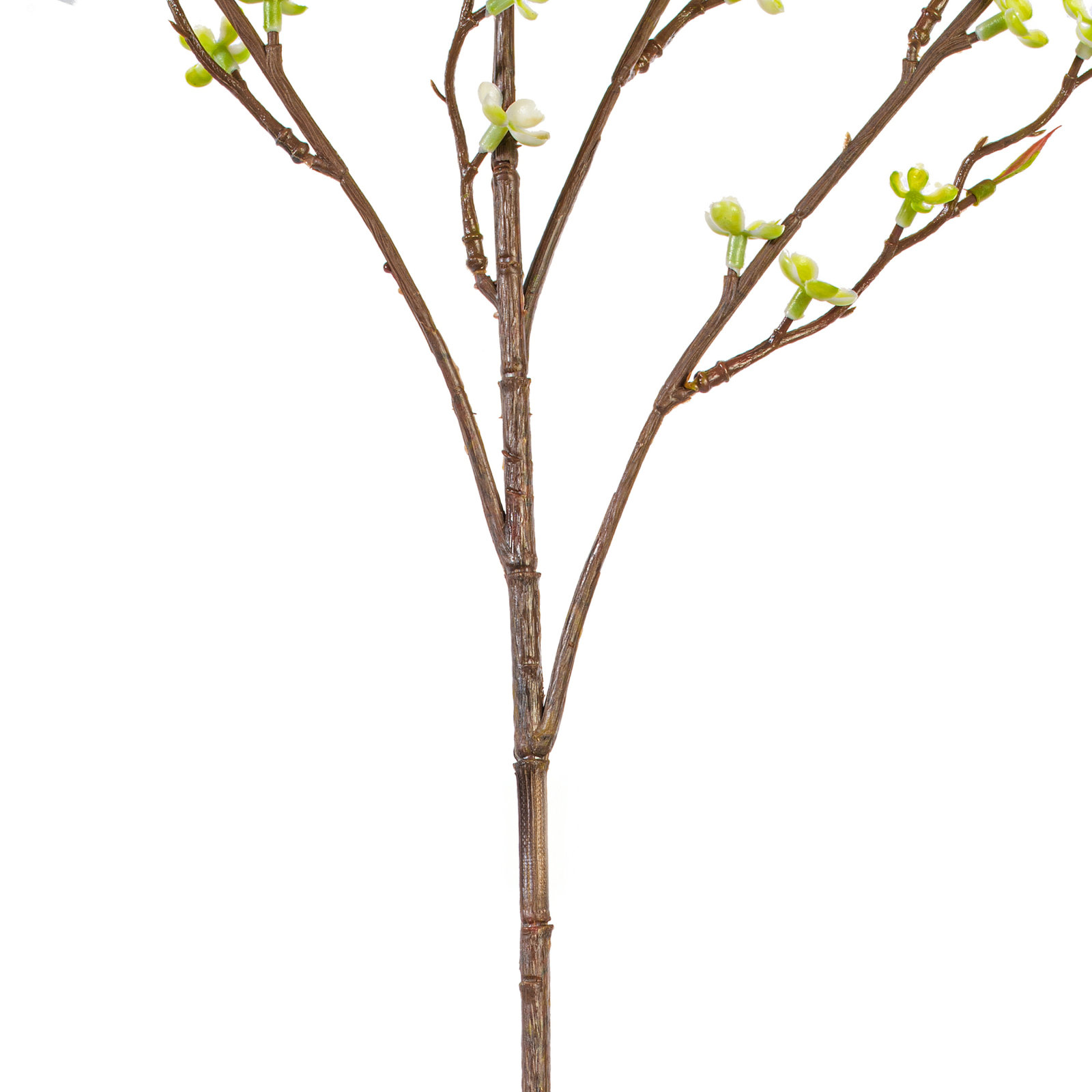 Wildflower Floral Stems, Green