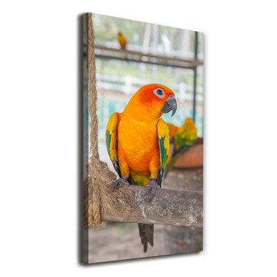 Parrot - Wrapped Canvas Print
