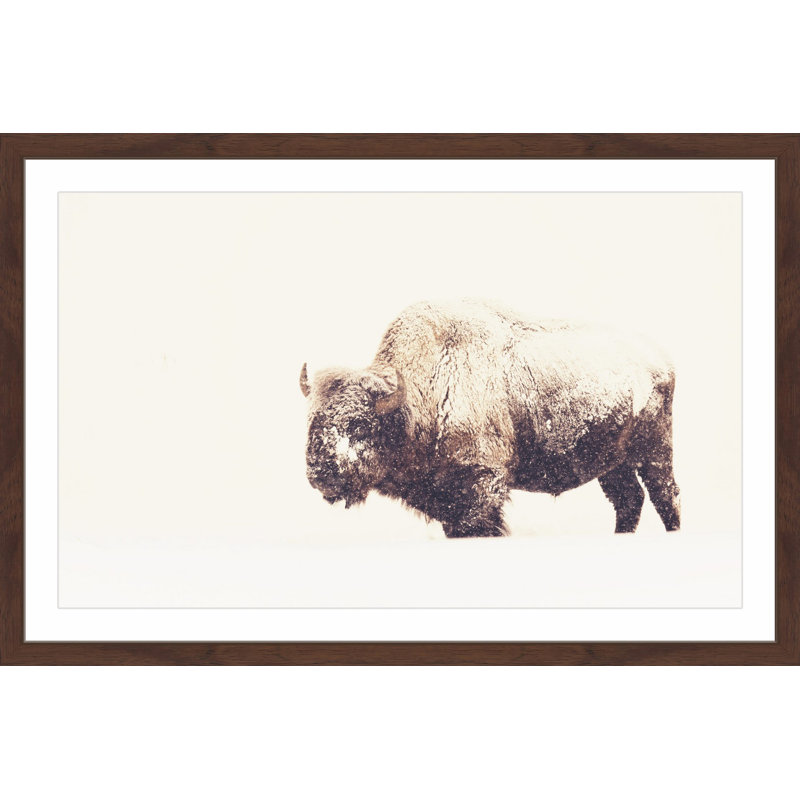 Parvez Taj - Single Picture Frame Print, 61cm H x 91cm W x 3.81cm D