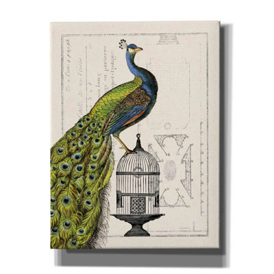 «Peacock Birdcage I» par Sue Schlabach, estampe numérique sur toile