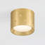 Edisto Flush Mount in Distressed Bronze by Cortney Bishop-867513554