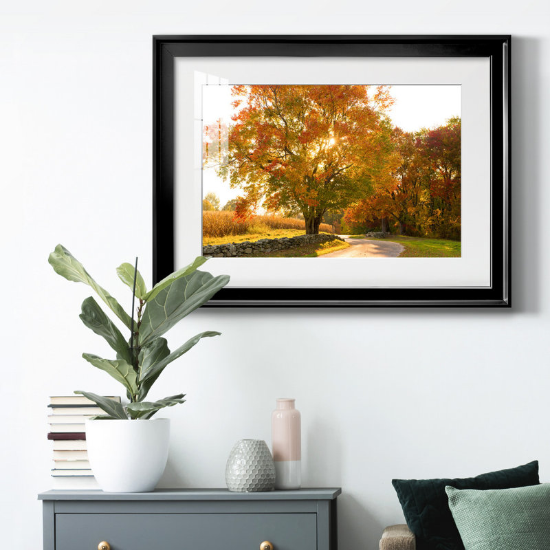 Maple Tree Drive - Photographie avec cadre photo, H 30,5 po x l 42,5 po x P 1,5 po, Cadre noir