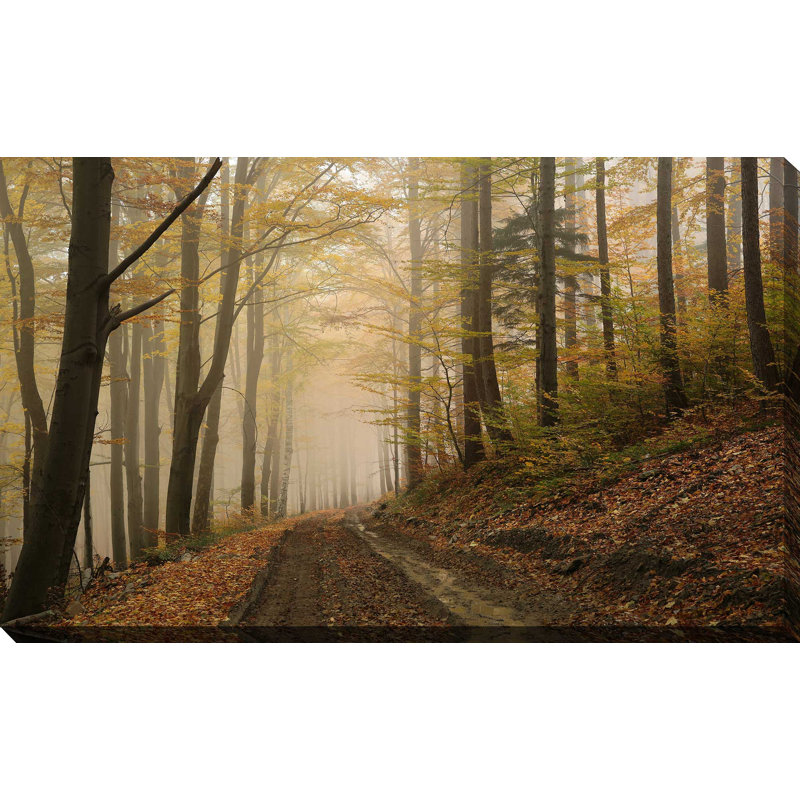 «Dewy Forest», reproduction de photo sur toile tendue, H 18 po x l 30 po x P 1 po