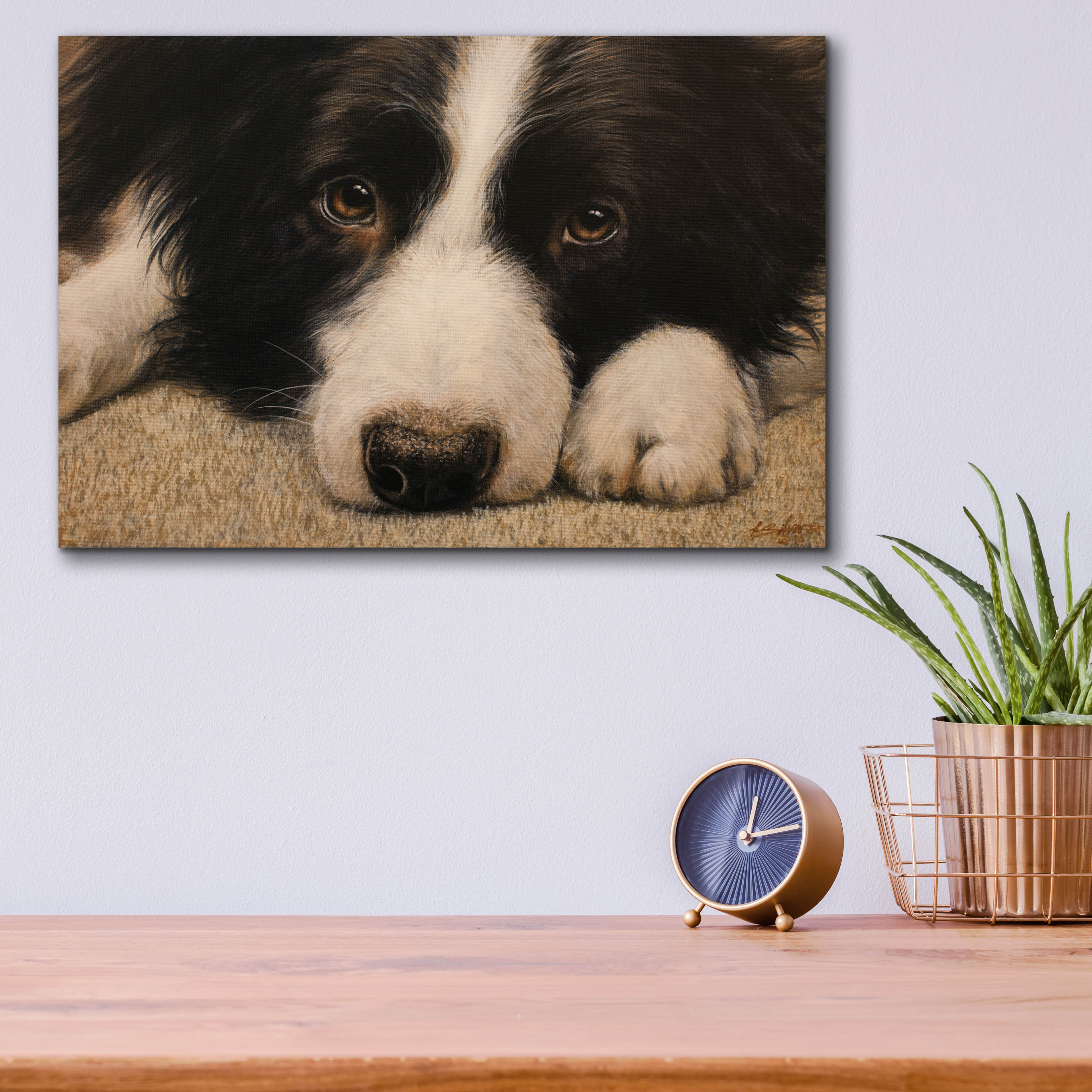 Winston Porter Border Collie Love by John Silver Wayfair