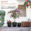 Ensemble de 3 pots à fleurs-1529502407