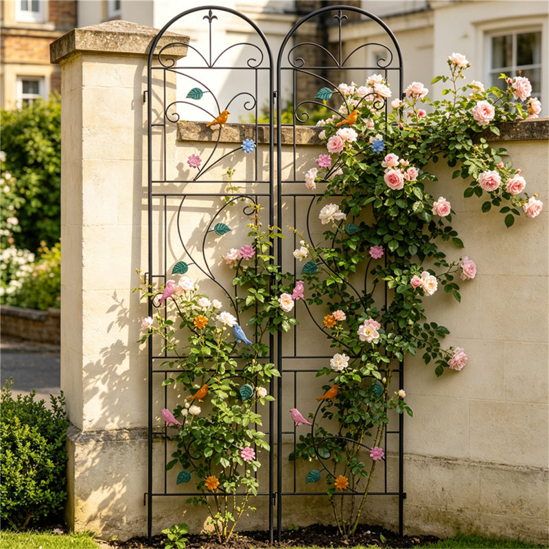 214cm H x 97.5cm W Iron Arched Trellis