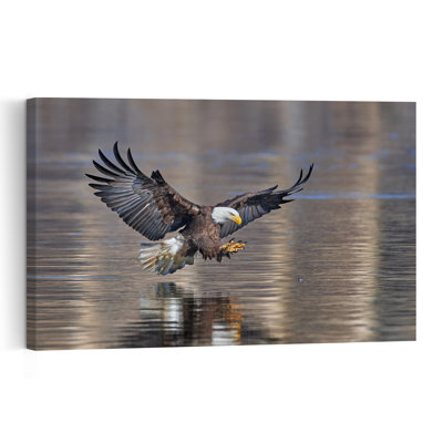 Regal Eagle Hunt Contemporary Bird Eagle Fish Nature Wildlife Wall Art Print 1 Piece Wrapped Canvas Wall Art