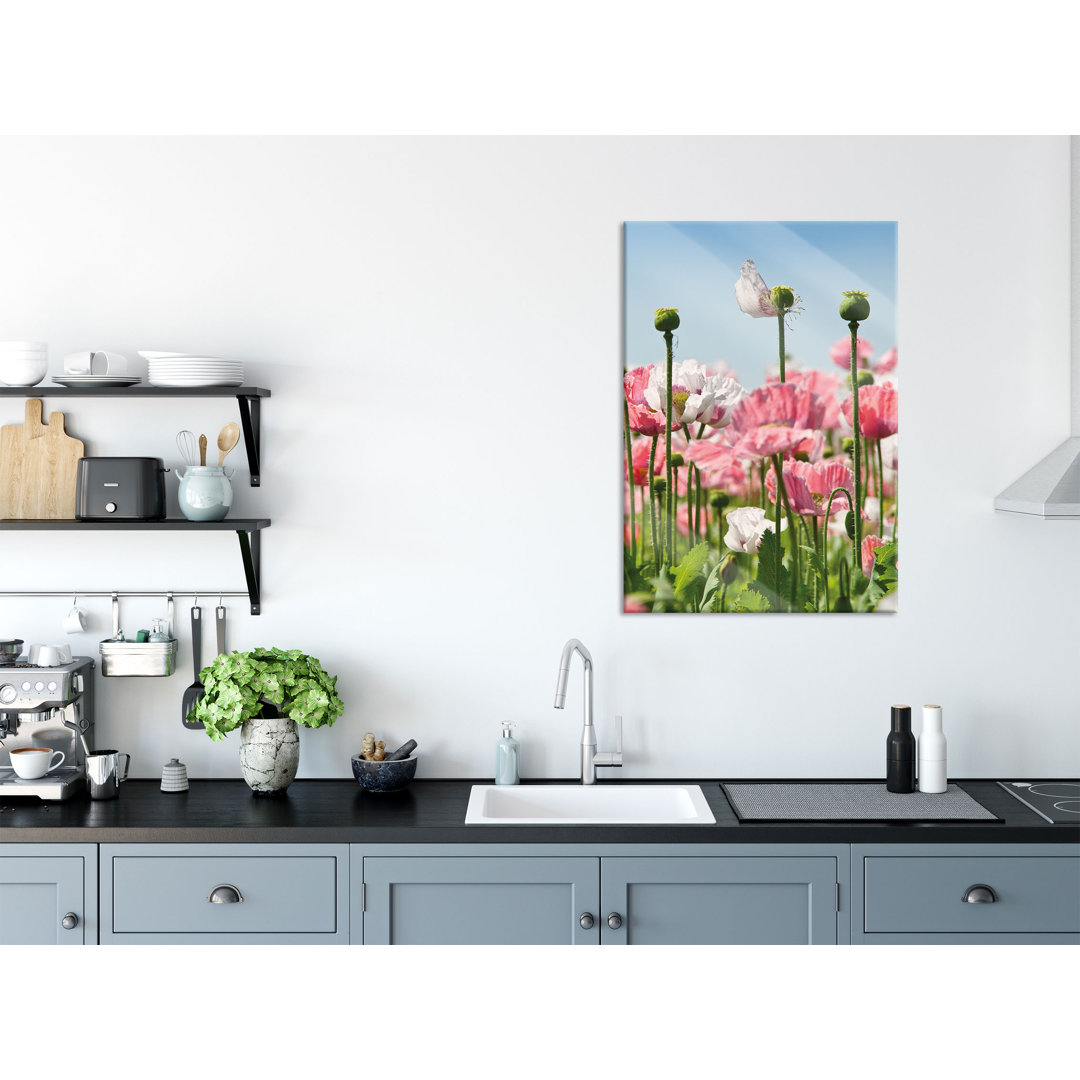 Glasbild Blumenwiese Mohnblumen