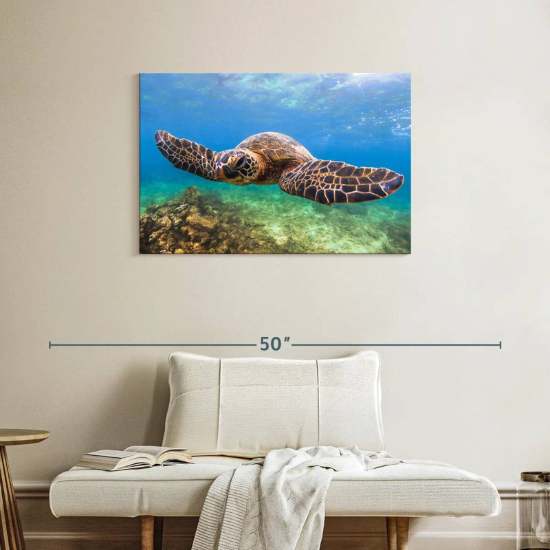 Crowle Flapping Turtle, 24" H x 36" W