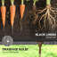 Outdoor Planter Box,Raised Garden Bed-460988137