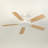 Karlena 52'' Ceiling Fan With Led Lights And Remote Control-116574027-116574025