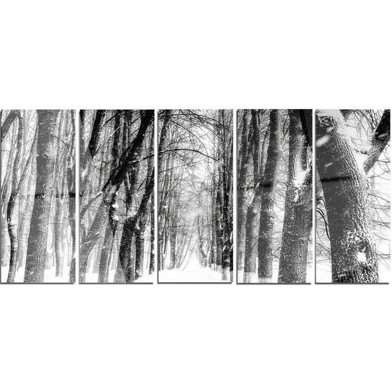 «Snowy Forest Black and White», ensemble de 5 reproductions de photos sur métal