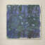 « blue water lilies », impression sur toile-763543640-760462620-760462609