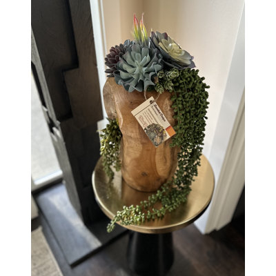 Conception succulente sur vase en bois indonésien | Plantes succulentes artificielles uniques