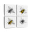 Quatre abeilles, reproduction d'art sur toile-1681664465