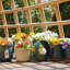 Pot de fleurs