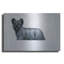 «Sky Terrier» par Harro Maass-1950215863