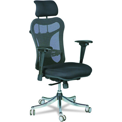  Fauteuil ergonomique Ergo Ex