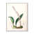 Cadre flottant blanc